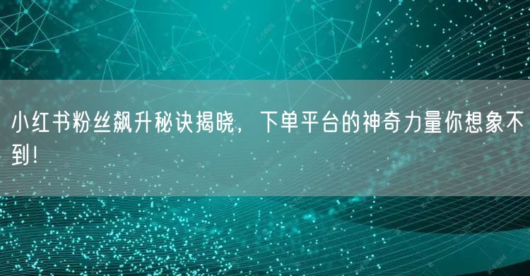 小红书粉丝飙升秘诀揭晓,下单平台的神奇力量你想象不到!