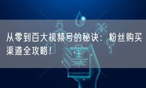 从零到百大视频号的秘诀:粉丝购买渠道全攻略!