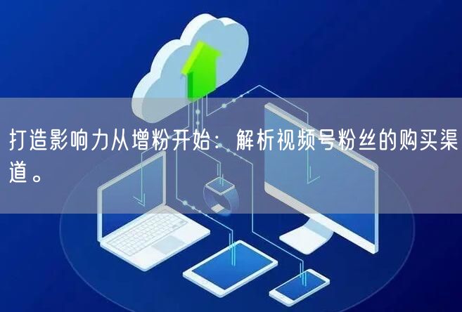 打造影响力从增粉开始:解析视频号粉丝的购买渠道。