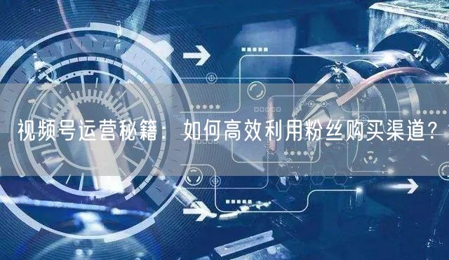 视频号运营秘籍:如何高效利用粉丝购买渠道?