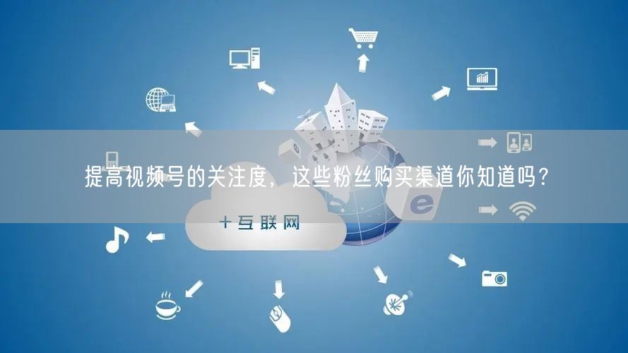 提高视频号的关注度,这些粉丝购买渠道你知道吗?