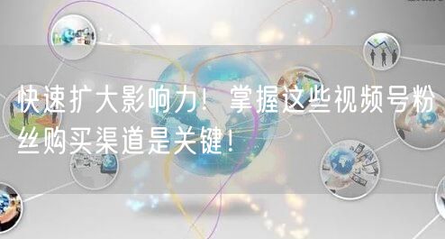 快速扩大影响力！掌握这些视频号粉丝购买渠道是关键！