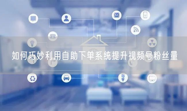 如何巧妙利用自助下单系统提升视频号粉丝量