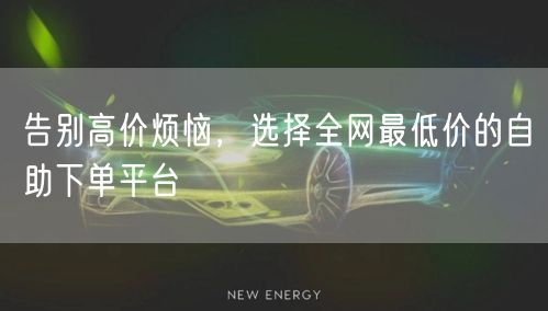 告别高价烦恼,选择全网最低价的自助下单平台