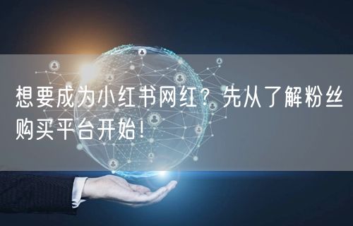想要成为小红书网红?先从了解粉丝购买平台开始!