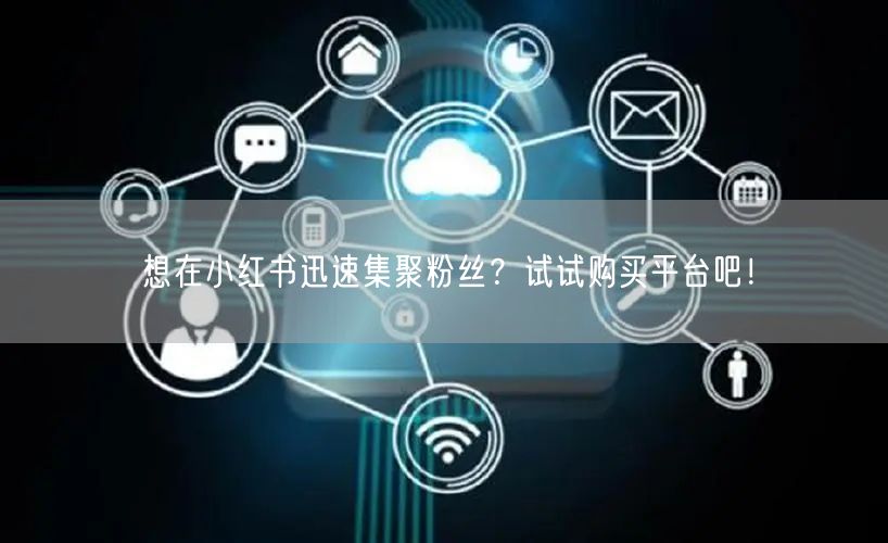 想在小红书迅速集聚粉丝?试试购买平台吧!