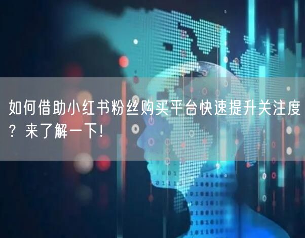 如何借助小红书粉丝购买平台快速提升关注度?来了解一下!