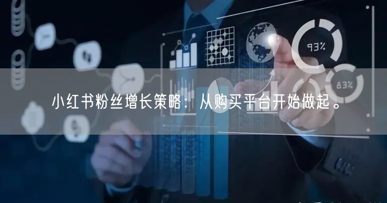 小红书粉丝增长策略:从购买平台开始做起。